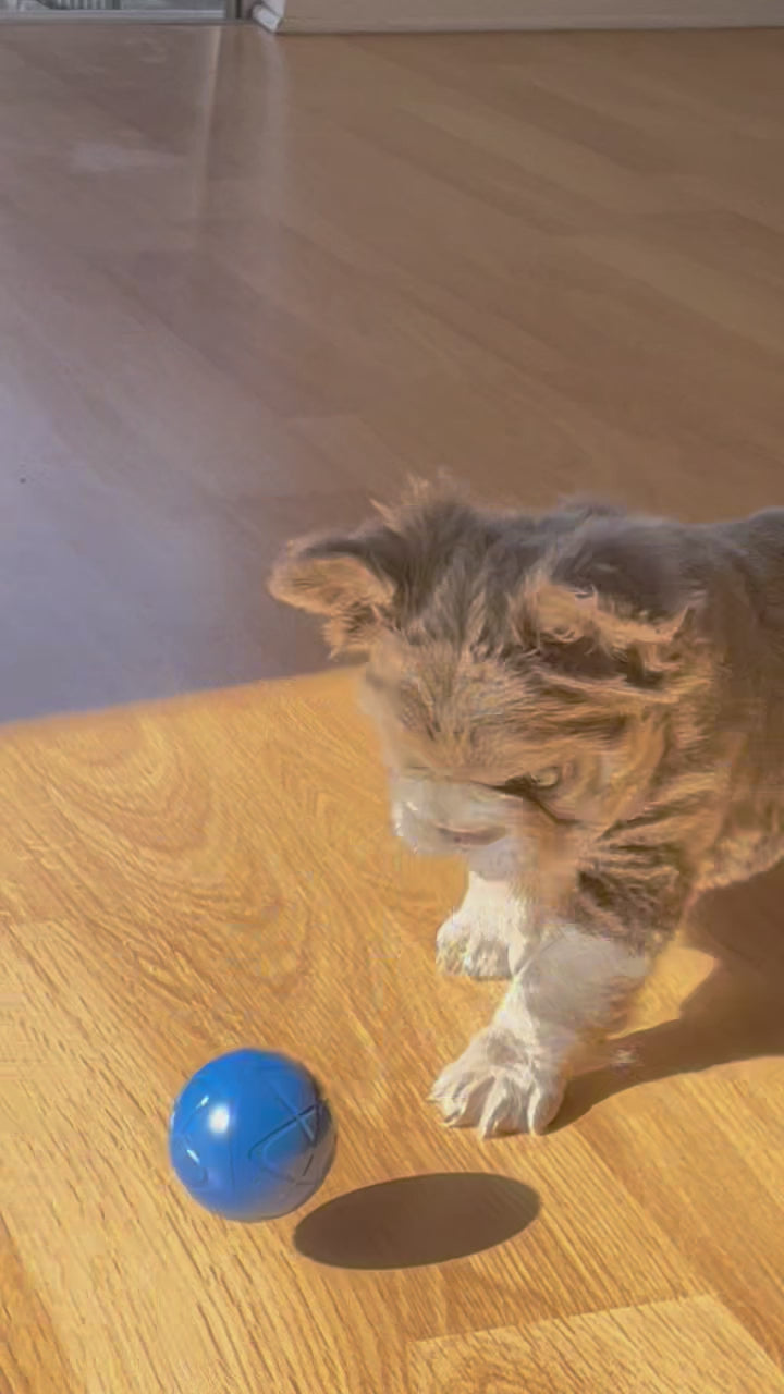 FURRA™ Smart Motion Ball